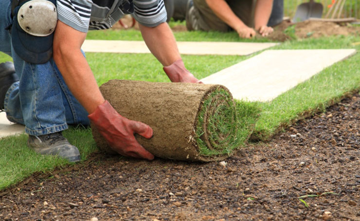 Roll Out Lawn | Instant Lawn Adelaide | Visual Landscape Gardening