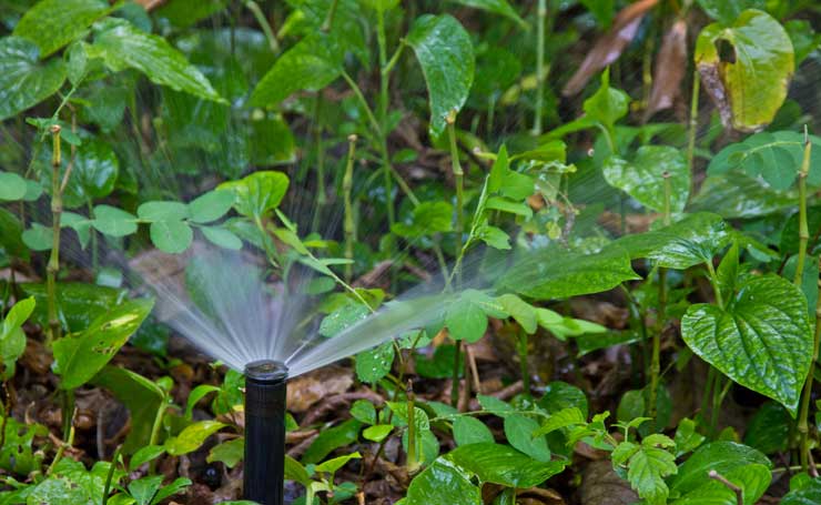 Irrigation Systems Adelaide Irrigation systems Adelaide