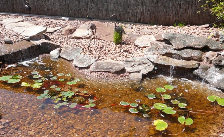 Concrete Garden Fish Pond