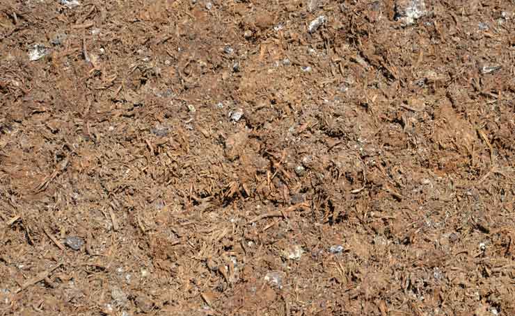 Improve the quality of your soil with an organic compost