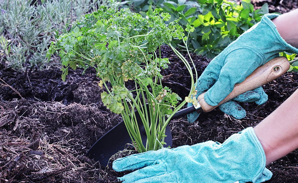 Mulch Adelaide | Landscaping Supplies