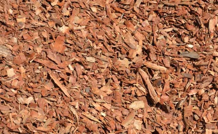 Bark Chips bark-chips