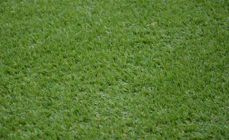 Burnside Synthetic Grass