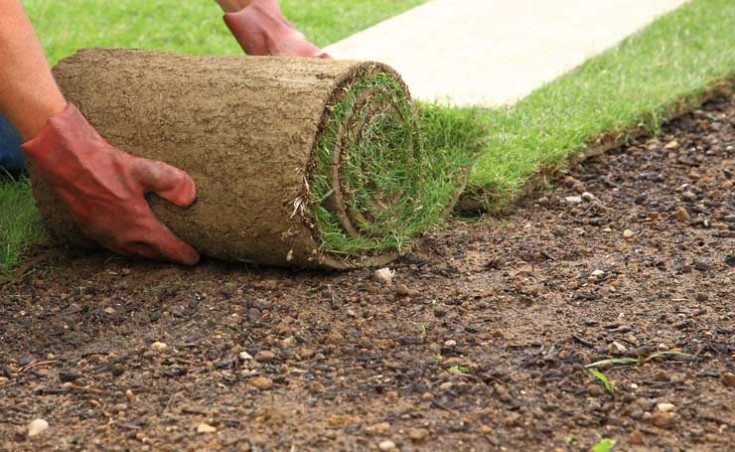 How To Lay Instant Roll Out Lawn