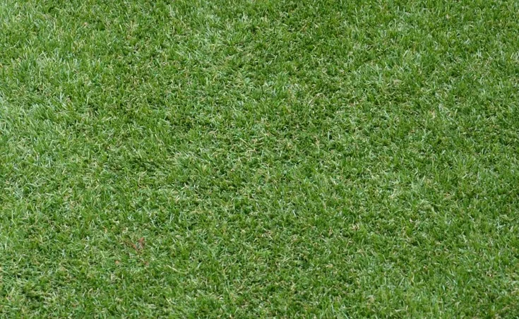 Manicure Synthetic Grass