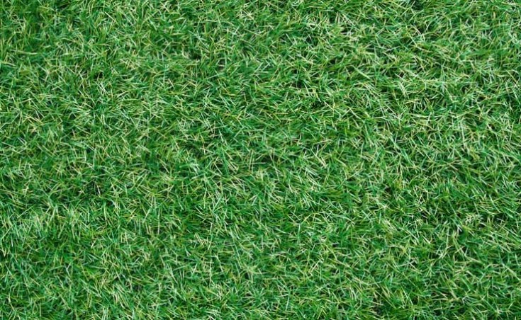 How Your Synthetic Grass Looks