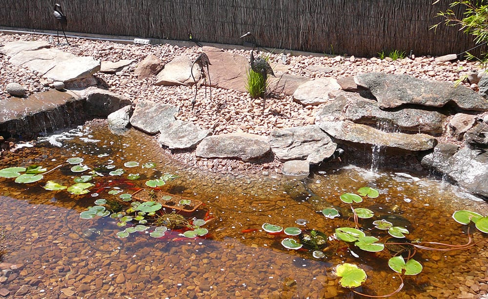Moss Rock Waterfall