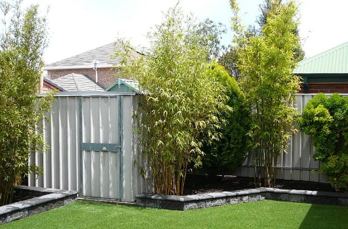 Ultimate Low Maintenance Landscaping Design Trott Park
