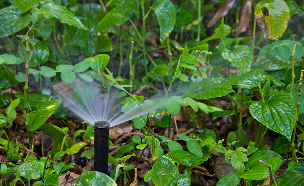 Garden Bed Sprinkler Systems