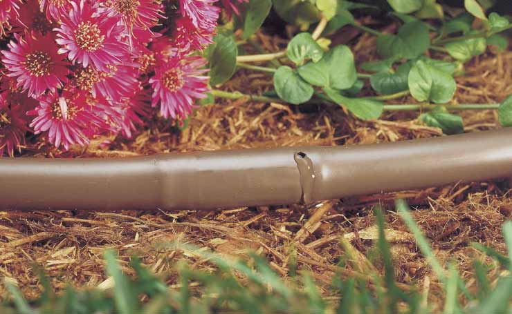 Low Maintenance Landscaping Ideas | Automatic Drip Irrigation Systems Automatic Drip Irrigation Systems Adelaide