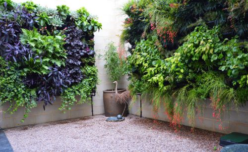 Courtyard Vertical Gardens Adelaide