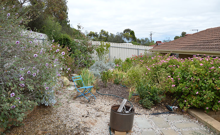 Paved Area Makeover Before