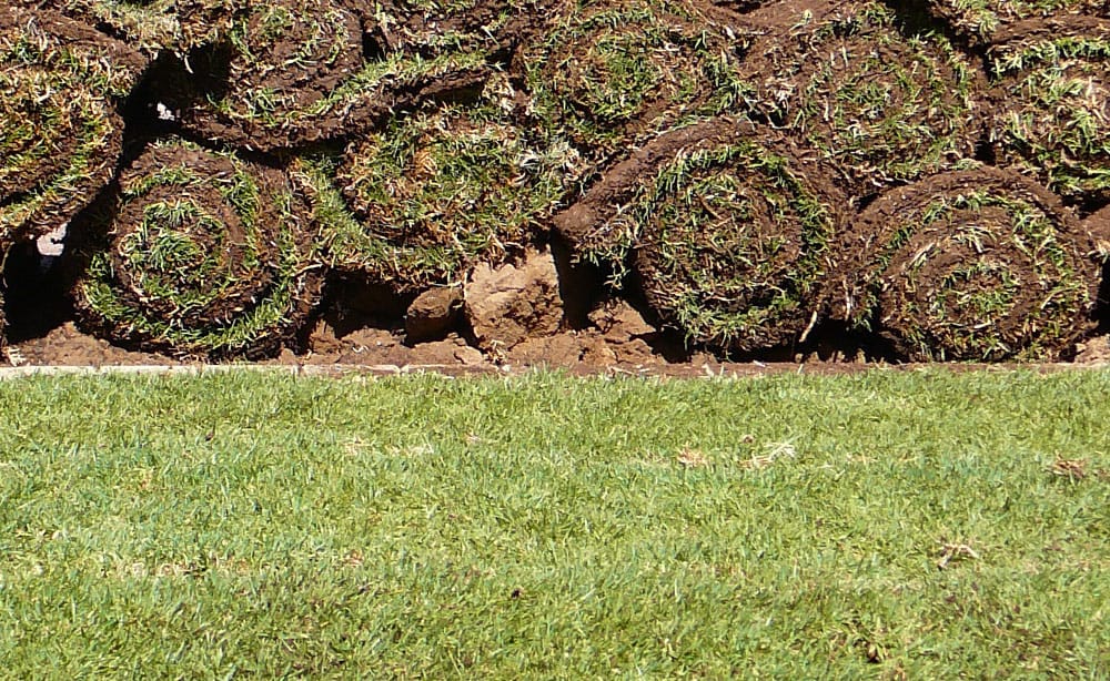 Roll Out Instant Lawn