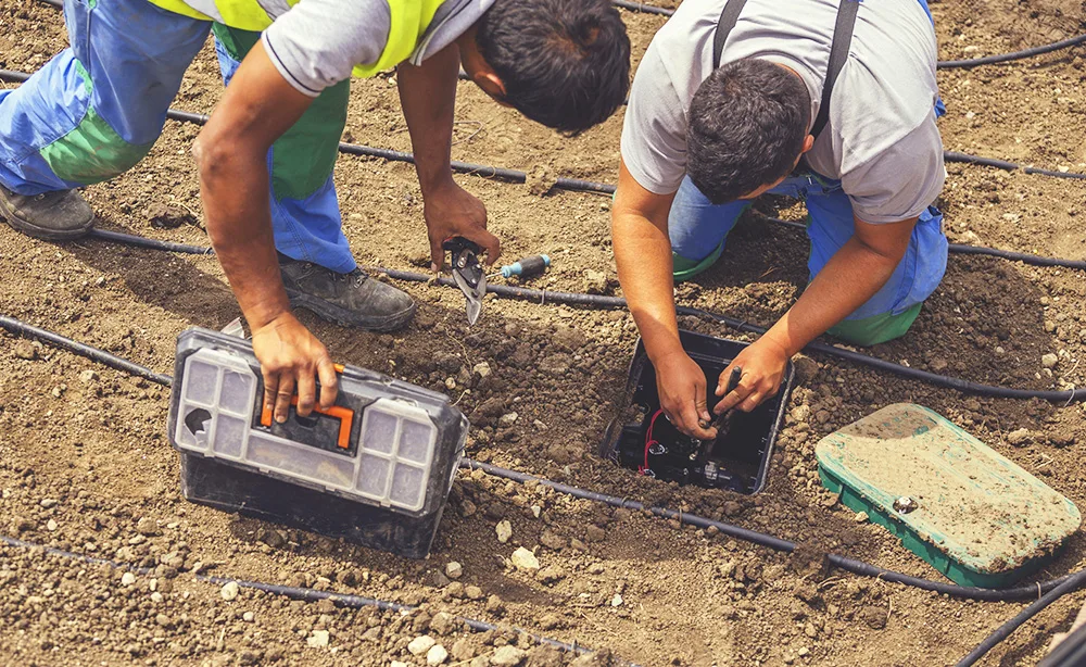Drip Line Irrigation Installers Adelaide | Landscaping Adelaide