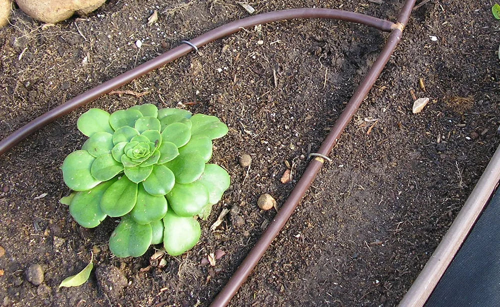 Drip Line Irrigation Adelaide | Landscaping Adelaide