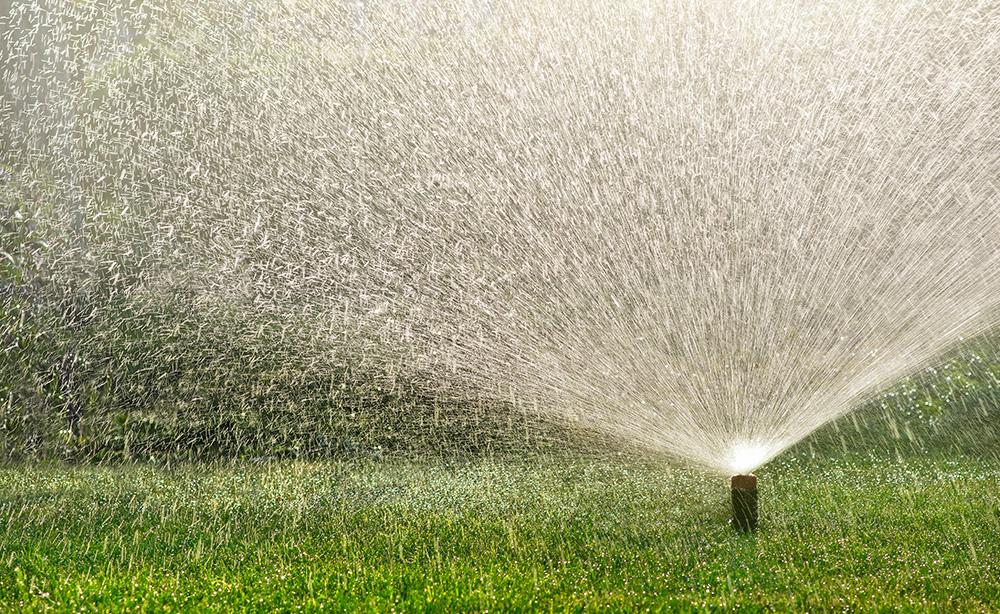 Pop Up Lawn Sprinklers | Irrigation Adelaide