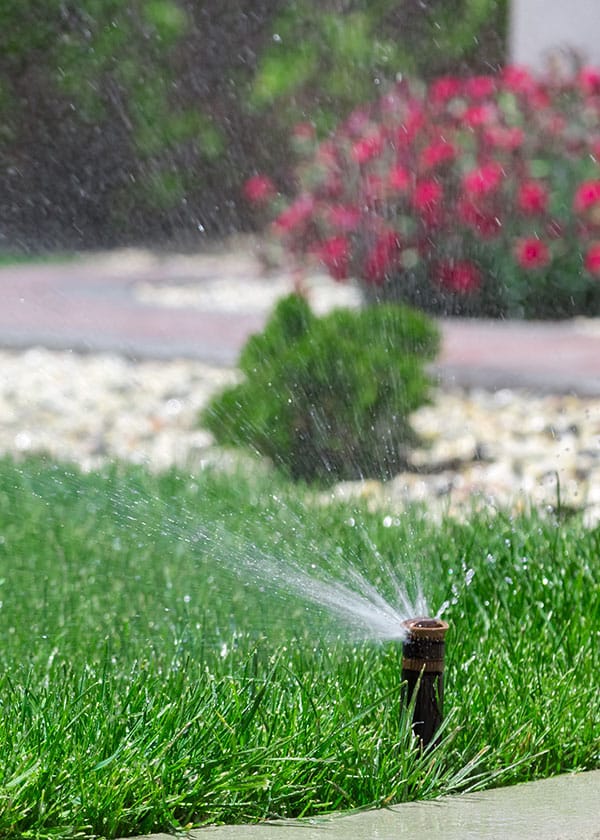 Irrigation Adelaide | Pop Up Sprinklers | Drip Line Irrigation Irrigation Adelaide | Pop Up Sprinklers | Drip Line Irrigation