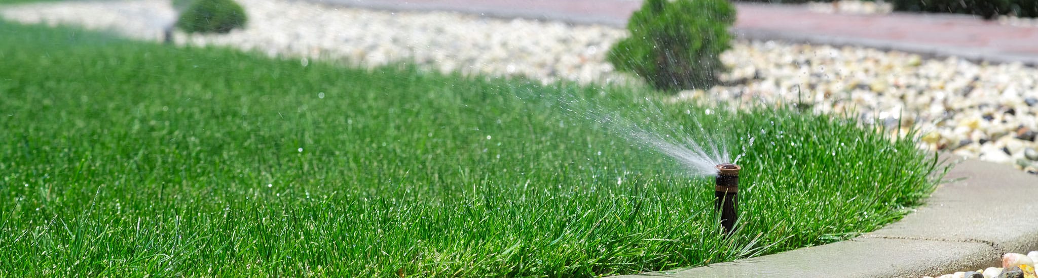 Irrigation Adelaide | Pop Up Sprinklers | Drip Line Irrigation Irrigation Adelaide | Pop Up Sprinklers | Drip Line Irrigation